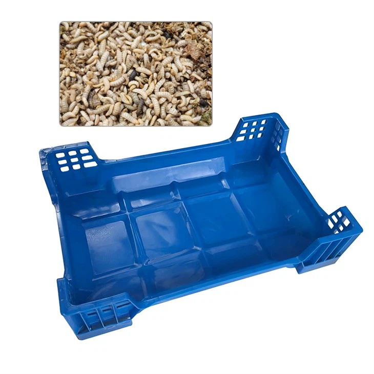 Bandeja con incrustaciones de escarabajo