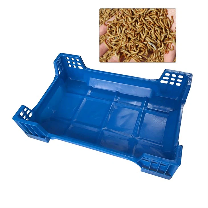 BSF Breeding Box factory